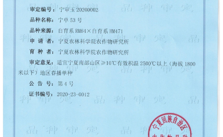 宁单53号品种简介