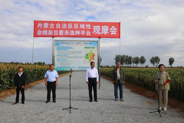 全区杂粮杂豆“看禾选种”平台现场观摩活动在赤峰市举行