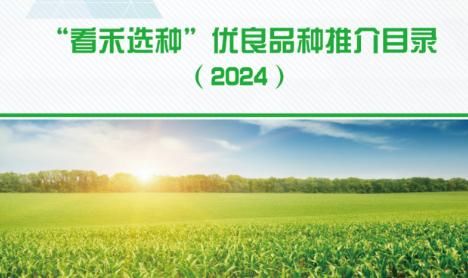 2024年内蒙古主要农作物60个主推品种——玉米（一）
